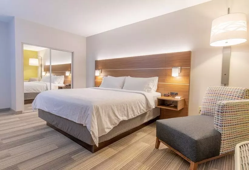 身障者適用スイートルーム, Holiday Inn Express Johnson City, An Ihg