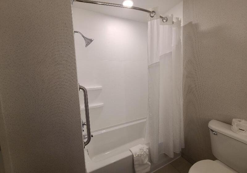 Номер Стандарт Кровать Кинг Адаптированный для Инвалидов, Holiday Inn Express Lordstown Newton Falls/warren, An Ihg