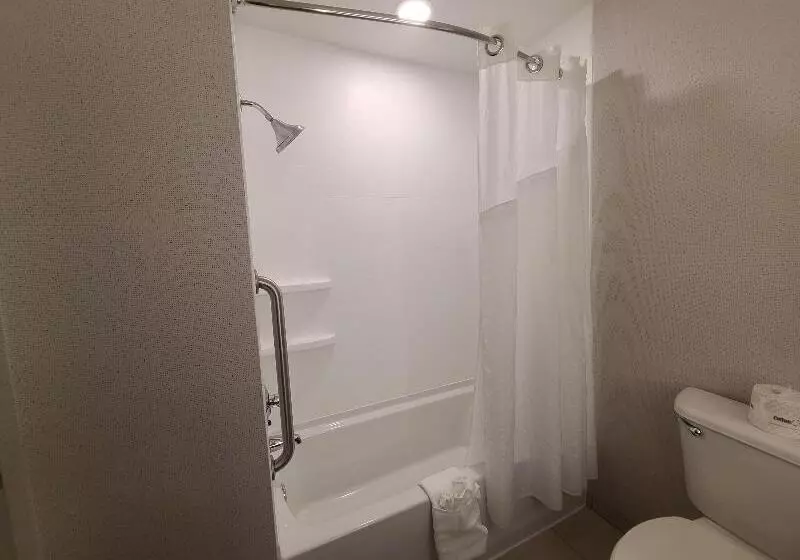 身障者適用キングサイズベッドルーム, Holiday Inn Express Lordstown Newton Falls/warren, An Ihg