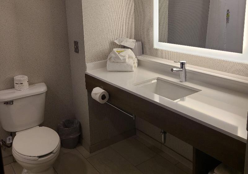 带大床的标准间, Holiday Inn Express Lordstown Newton Falls/warren, An Ihg