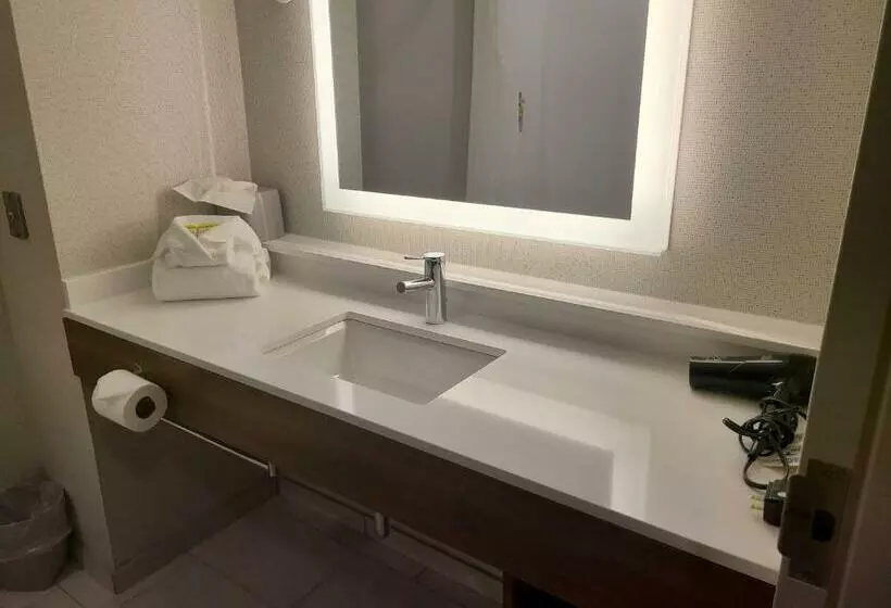 キングサイズベッドのスタンダードルーム, Holiday Inn Express Lordstown Newton Falls/warren, An Ihg