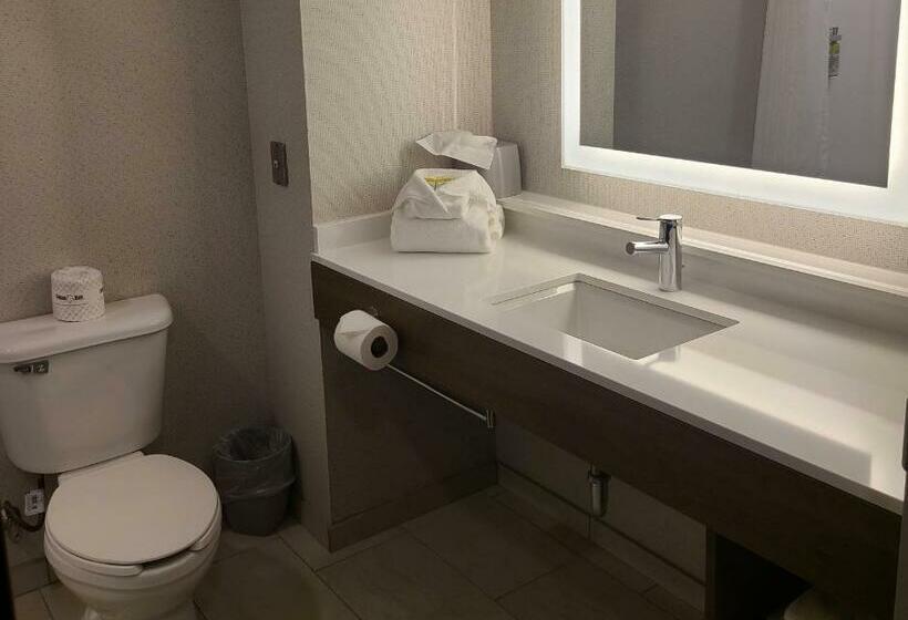 带大床的标准间, Holiday Inn Express Lordstown Newton Falls/warren, An Ihg