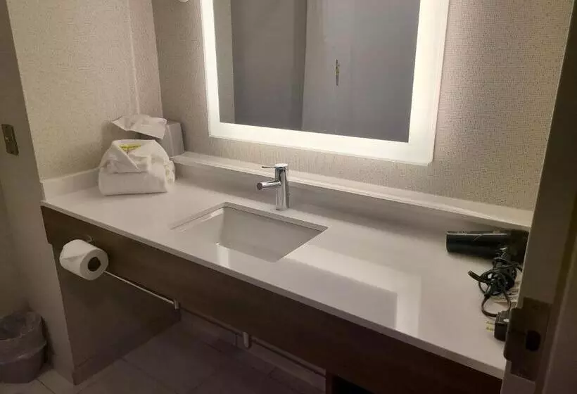 スタンダードルーム, Holiday Inn Express Lordstown Newton Falls/warren, An Ihg