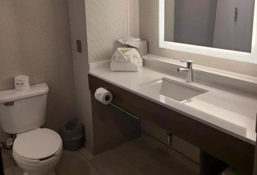 キングサイズベッドのスイートルーム, Holiday Inn Express Lordstown Newton Falls/warren, An Ihg