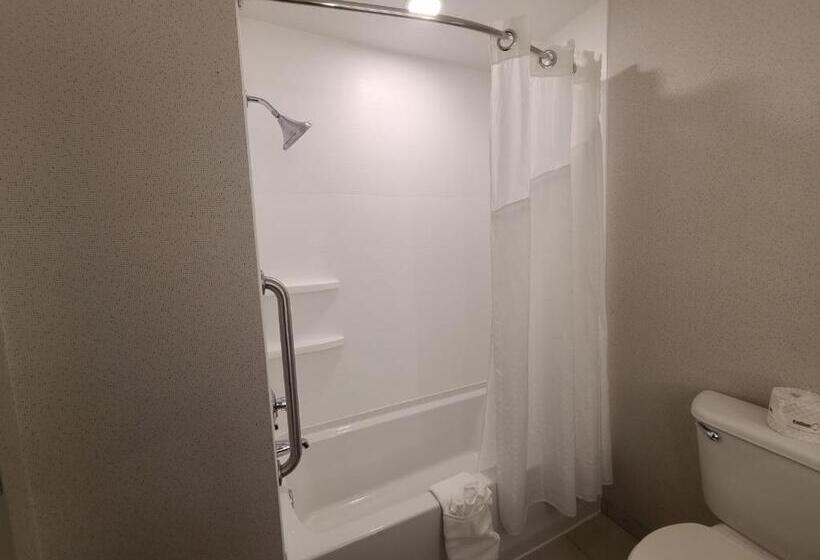 标准工作室, Holiday Inn Express Lordstown Newton Falls/warren, An Ihg