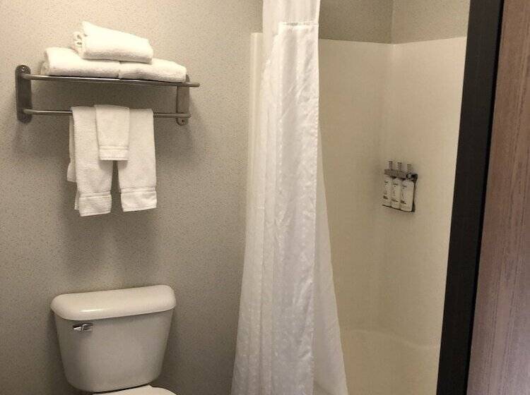 スタンダードルーム, Holiday Inn Express Mt. Vernon, An Ihg