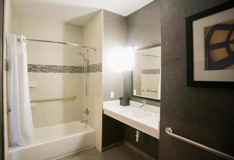 اتاق استاندارد, Holiday Inn Longview   North, An Ihg