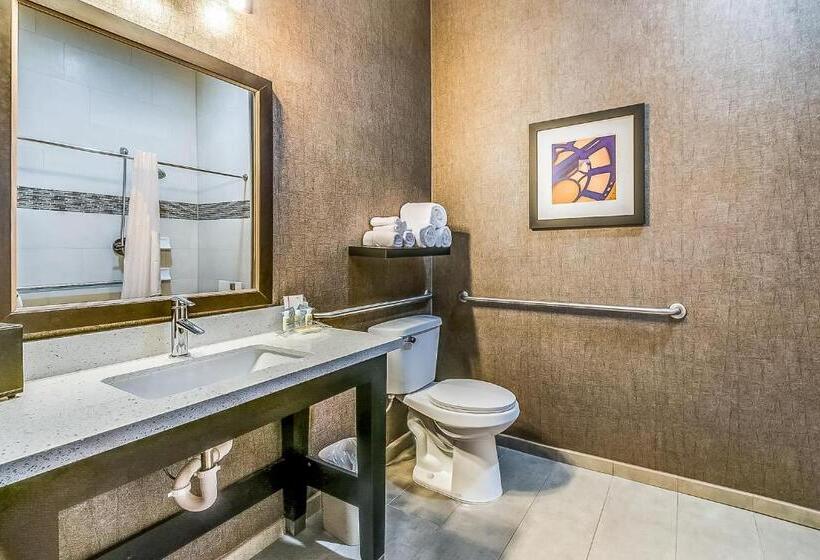 جناح لذوى الاحتياجات الخاصة, Holiday Inn Longview   North, An Ihg