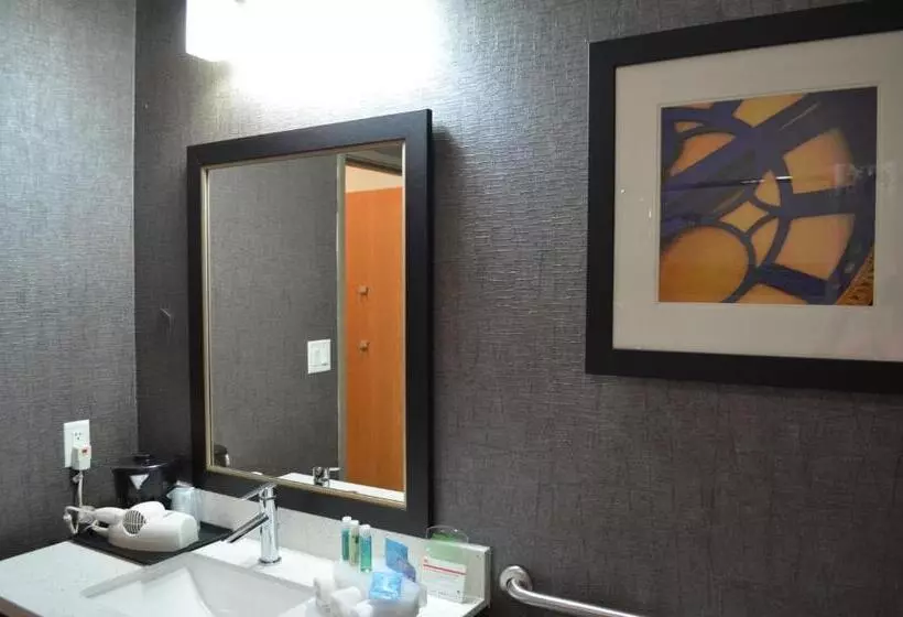 اتاق دلوکس مخصوص معلولین, Holiday Inn Longview   North, An Ihg