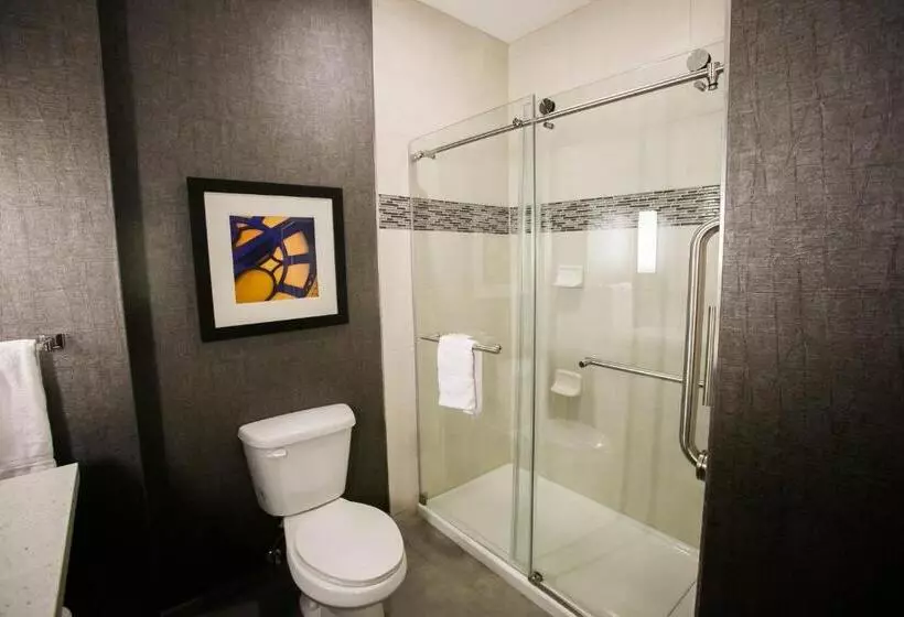 اتاق دلوکس مخصوص معلولین, Holiday Inn Longview   North, An Ihg