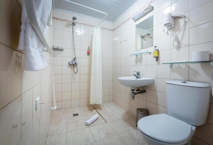 اتاق ساده سه نفره, Aribė Hotel Klaipėda, Free Parking