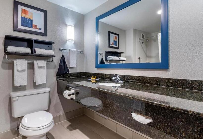 اتاق استاندارد با تخت بزرگ, Best Western Plus Castlerock Inn & Suites