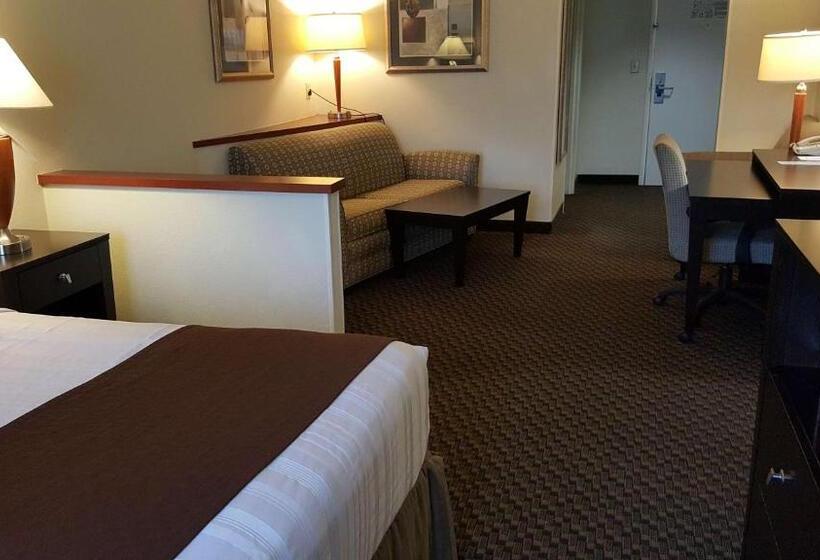 Номер Стандарт, Best Western Plus Castlerock Inn & Suites