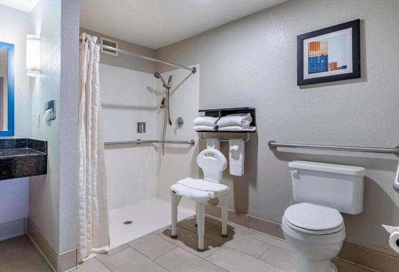 اتاق استاندارد با تخت بزرگ برای معلولان, Best Western Plus Castlerock Inn & Suites