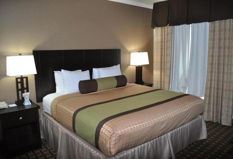 스탠다드 룸 킹사이즈 침대, Best Western Plus Cutting Horse Inn & Suites