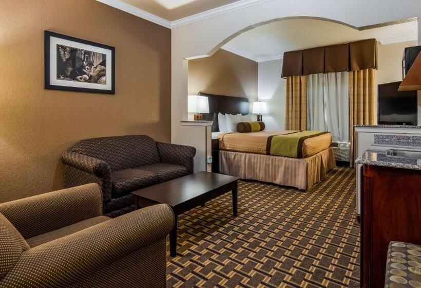 스탠다드 룸 킹사이즈 침대, Best Western Plus Cutting Horse Inn & Suites