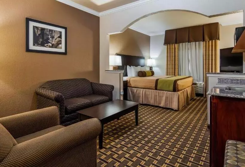 キングサイズベッドのスタンダードルーム, Best Western Plus Cutting Horse Inn & Suites
