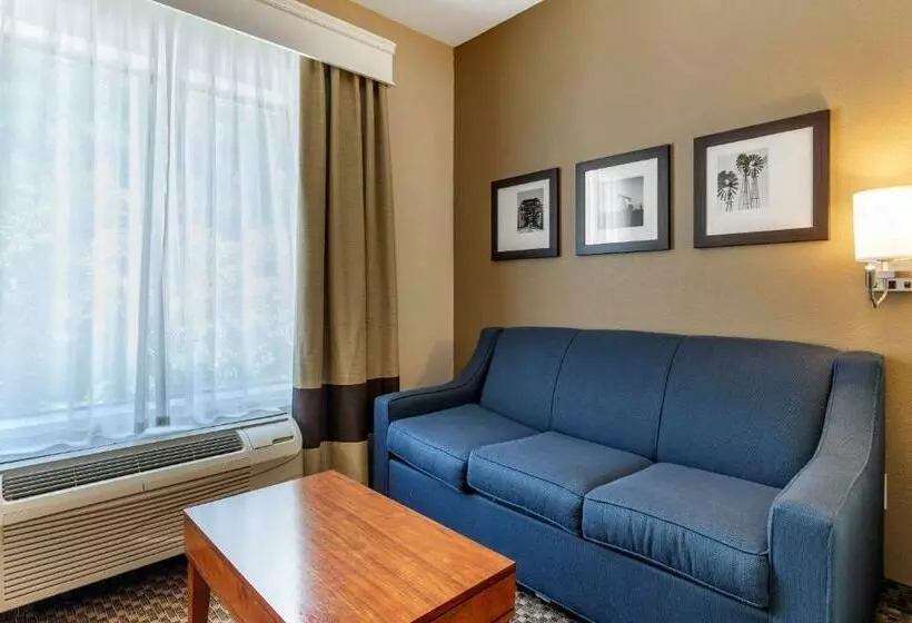 Sviitti Liikuntarajoitteisille, Comfort Suites