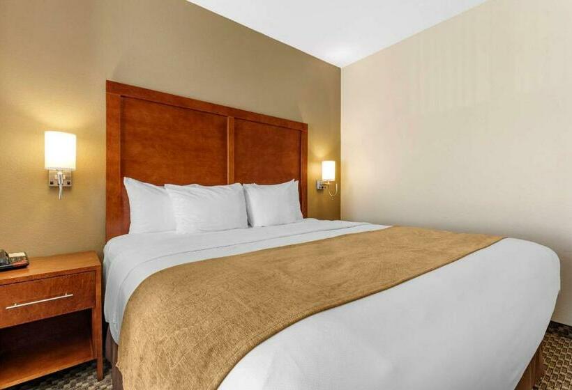 스위트 킹사이즈 침대, Comfort Suites
