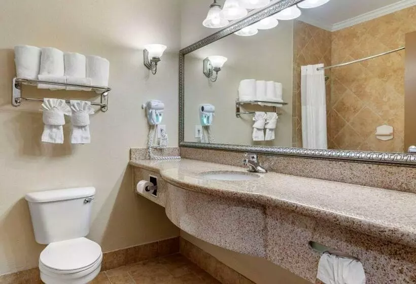 Sviitti King-vuode, Comfort Suites