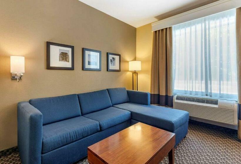 스위트 킹사이즈 침대, Comfort Suites