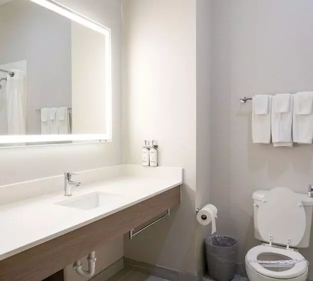Standard-huone, Holiday Inn Express Hotel & Suites Cedar Hill, An Ihg