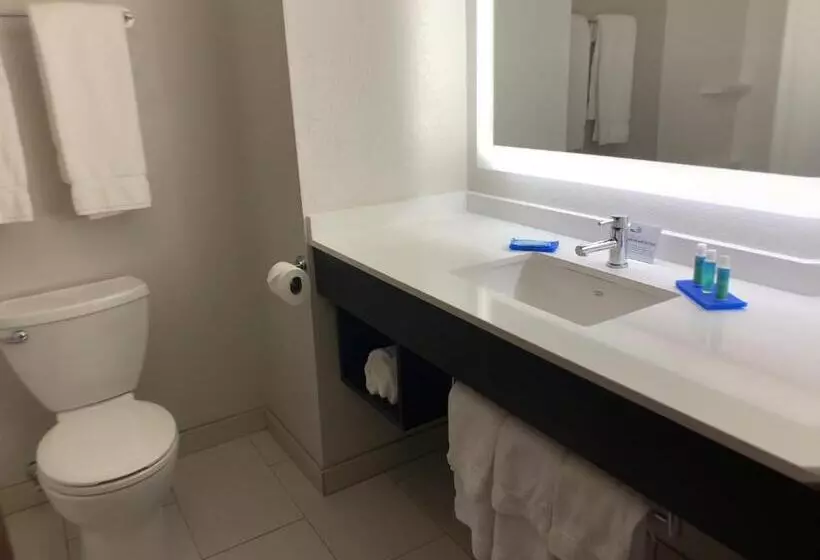 Standard-huone King-vuode, Holiday Inn Express Hotel & Suites Exmore Eastern Shore, An Ihg