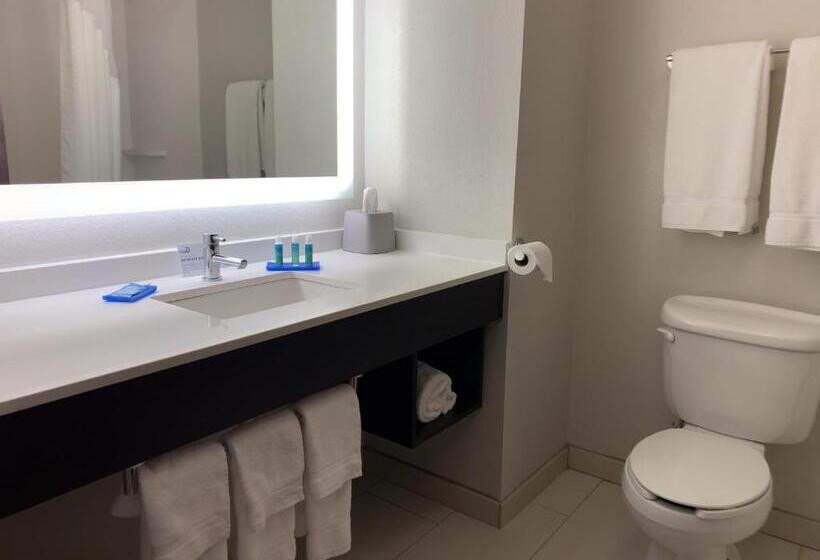 Студио Стандарт Кровать Кинг, Holiday Inn Express Hotel & Suites Exmore Eastern Shore, An Ihg