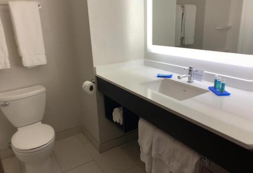 스위트 킹사이즈 침대, Holiday Inn Express Hotel & Suites Exmore Eastern Shore, An Ihg