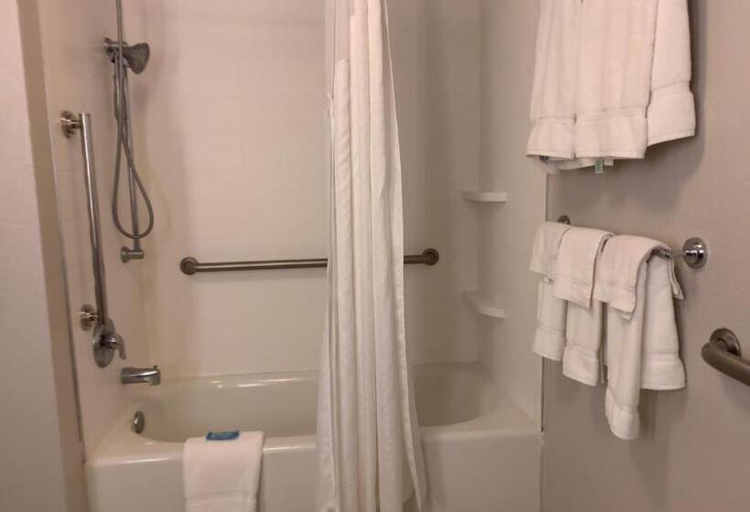 장애인을 위한 킹사이즈 침대 스탠다드 룸, Holiday Inn Express Hotel & Suites Exmore Eastern Shore, An Ihg
