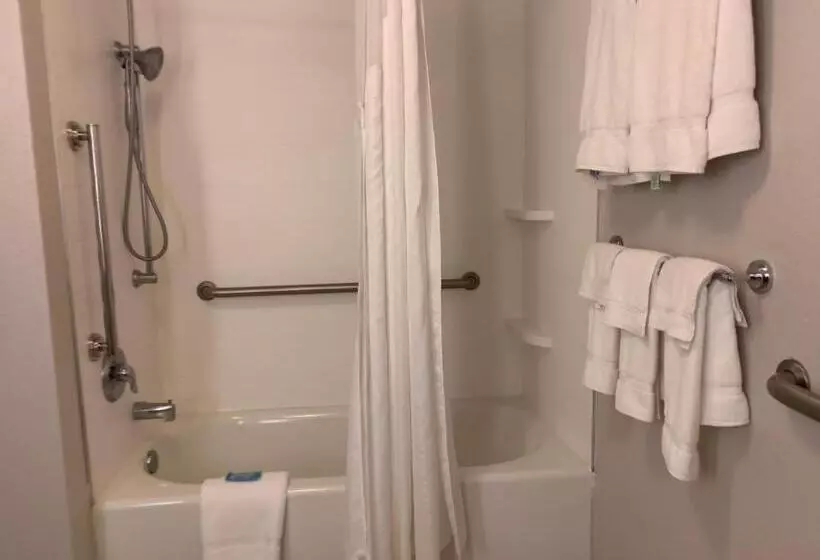 Standard-invahuone, Holiday Inn Express Hotel & Suites Exmore Eastern Shore, An Ihg