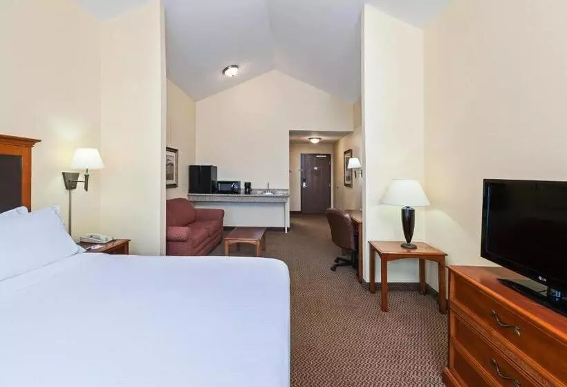 استودیو استاندارد با تخت کینگ, Holiday Inn Express & Suites   Laredo Event Center Area, An Ihg