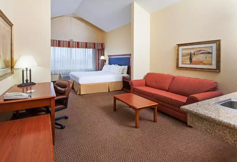 سوئیت با تخت بزرگ, Holiday Inn Express & Suites   Laredo Event Center Area, An Ihg