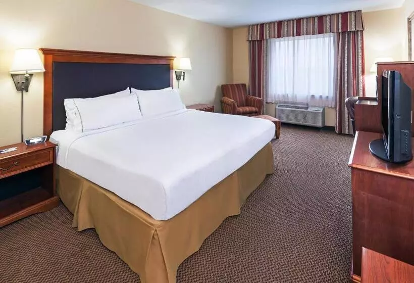 اتاق استاندارد با تخت بزرگ برای معلولان, Holiday Inn Express & Suites   Laredo Event Center Area, An Ihg
