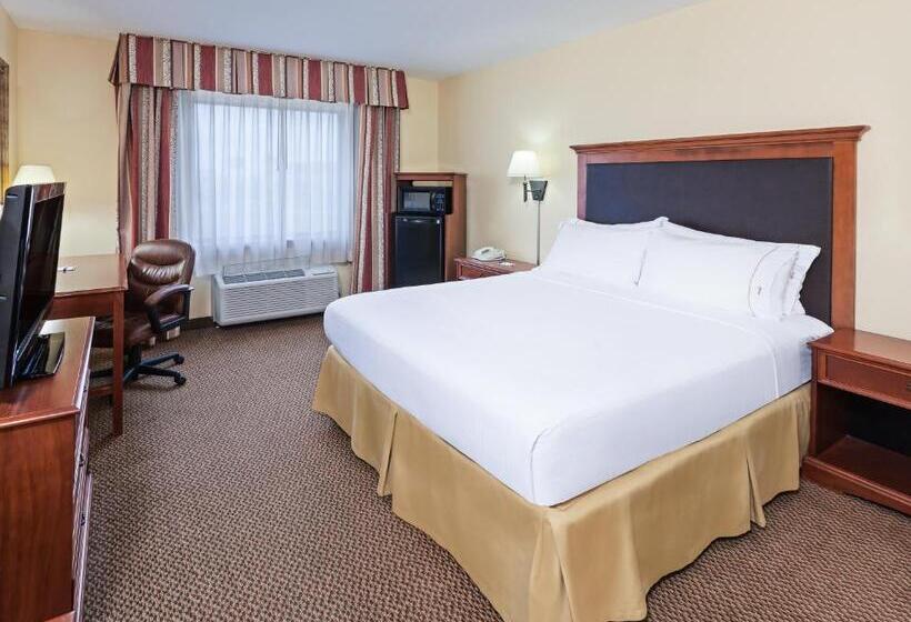Standard-huone, Holiday Inn Express & Suites   Laredo Event Center Area, An Ihg