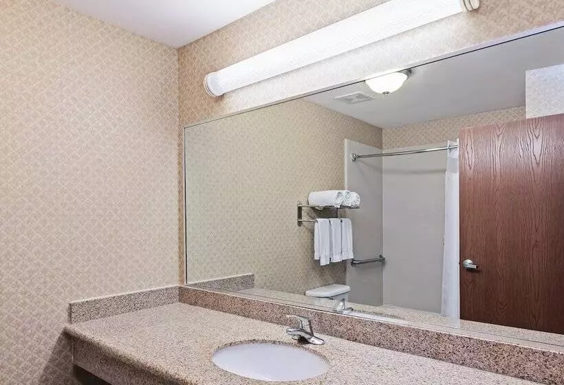 سوئیت با تخت بزرگ, Holiday Inn Express & Suites   Laredo Event Center Area, An Ihg