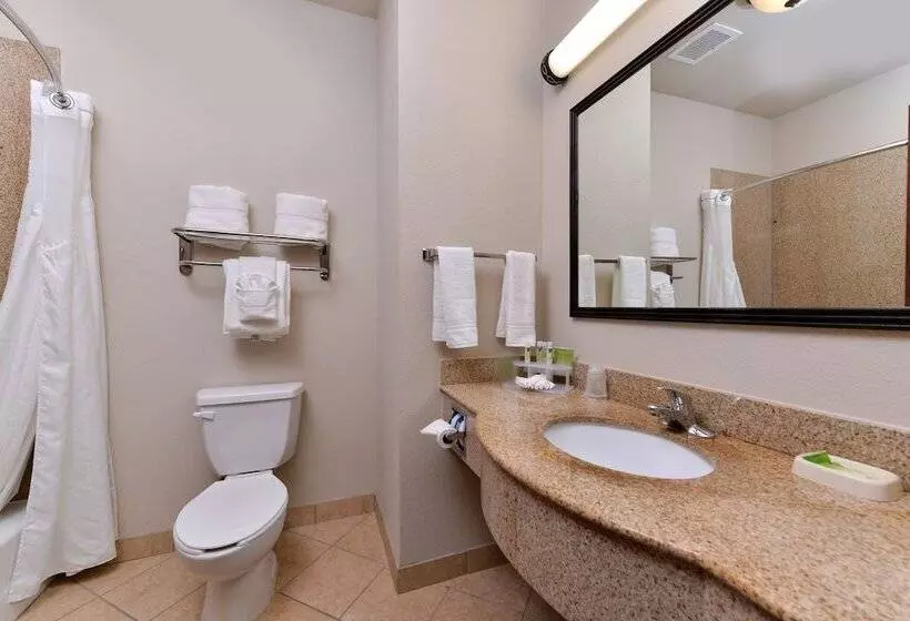 Sviitti, Holiday Inn Express Hotel & Suites Sherman Highway 75, An Ihg