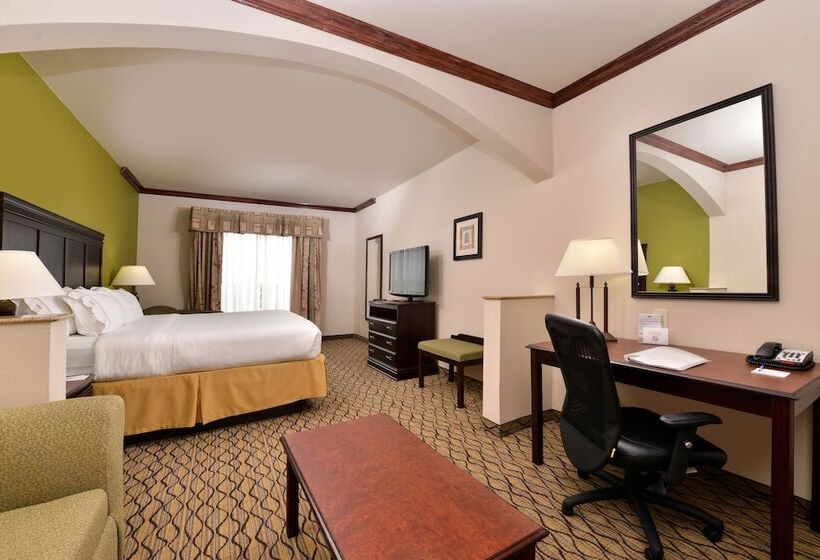 スイート, Holiday Inn Express Hotel & Suites Sherman Highway 75, An Ihg