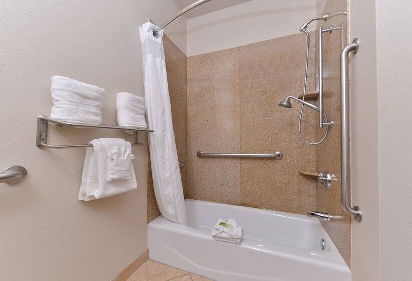 身障者適用スイートルーム, Holiday Inn Express Hotel & Suites Sherman Highway 75, An Ihg