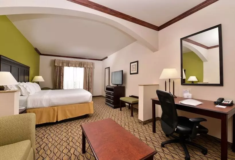 Sviitti Liikuntarajoitteisille, Holiday Inn Express Hotel & Suites Sherman Highway 75, An Ihg