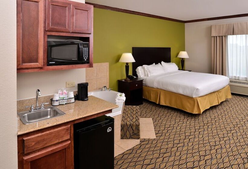 Люкс, Holiday Inn Express Hotel & Suites Sherman Highway 75, An Ihg