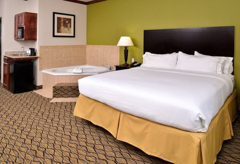 スイート, Holiday Inn Express Hotel & Suites Sherman Highway 75, An Ihg