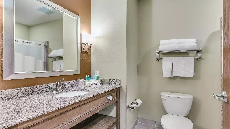 キングサイズベッドのスタンダードルーム, Holiday Inn Express & Suites Lubbock Southwest – Wolfforth, An Ihg