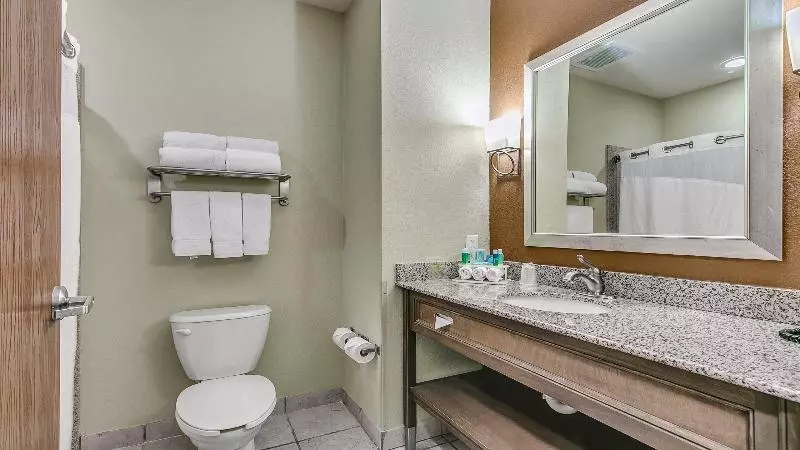 キングサイズベッドのスタンダードルーム, Holiday Inn Express & Suites Lubbock Southwest – Wolfforth, An Ihg