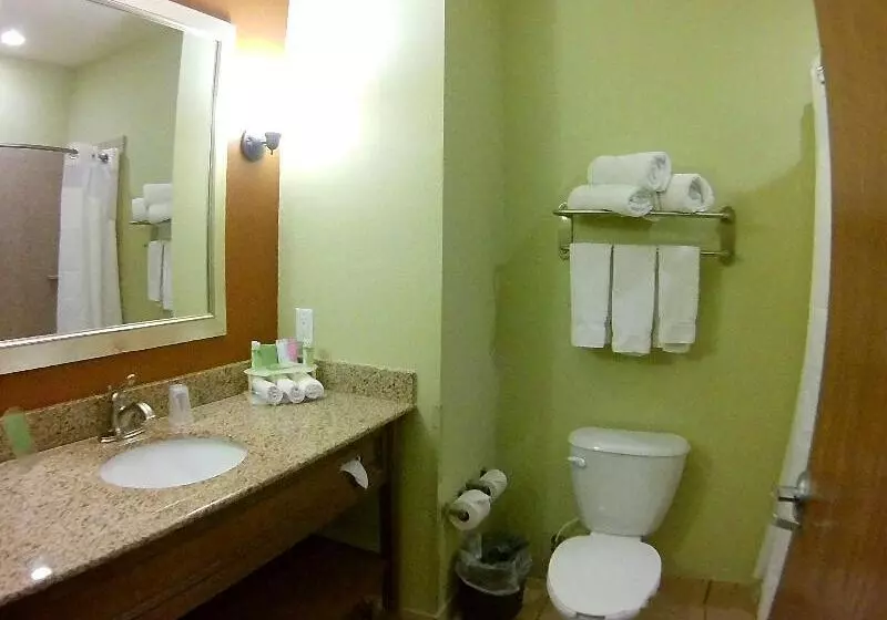 キングサイズベッドのスタンダードルーム, Holiday Inn Express & Suites Lubbock Southwest – Wolfforth, An Ihg