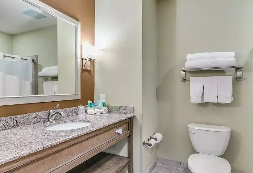 スイート, Holiday Inn Express & Suites Lubbock Southwest – Wolfforth, An Ihg