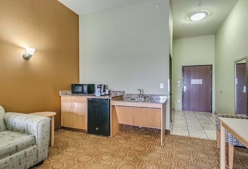 Номер Стандарт, Holiday Inn Express & Suites Lubbock Southwest – Wolfforth, An Ihg