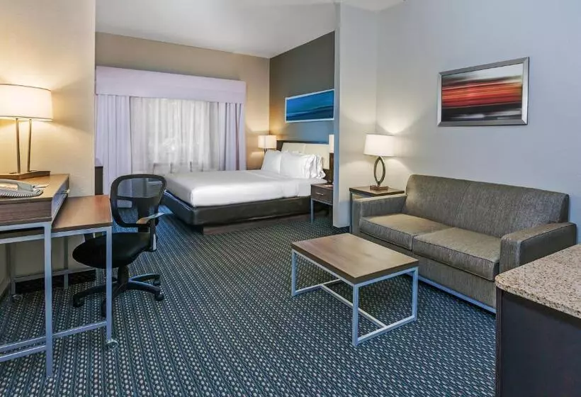 キングサイズベッドのスイートルーム, Holiday Inn Express & Suites   Pharr, An Ihg