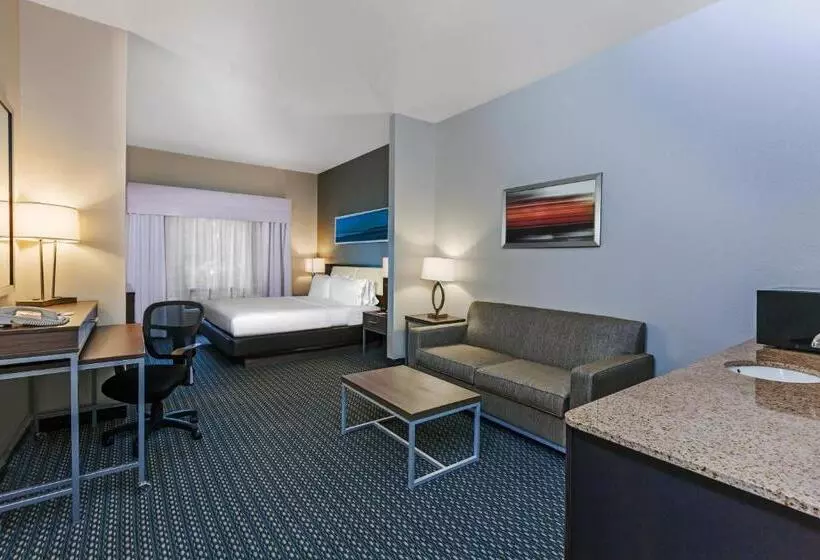 キングサイズベッドのスイートルーム, Holiday Inn Express & Suites   Pharr, An Ihg