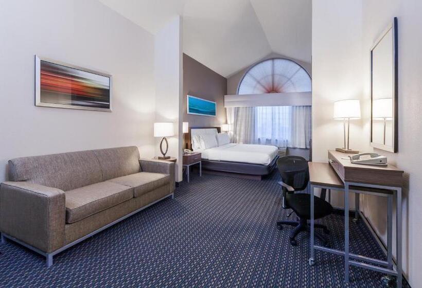 Люкс Кровать Кинг, Holiday Inn Express & Suites   Pharr, An Ihg